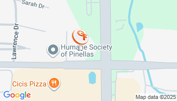 Safety Harbor, FL Motorcycle Insurance Agency