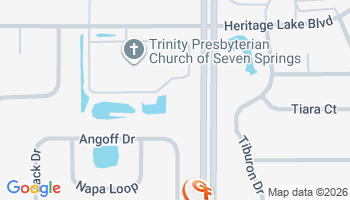 New Port Richey, FL Auto Insurance Agency